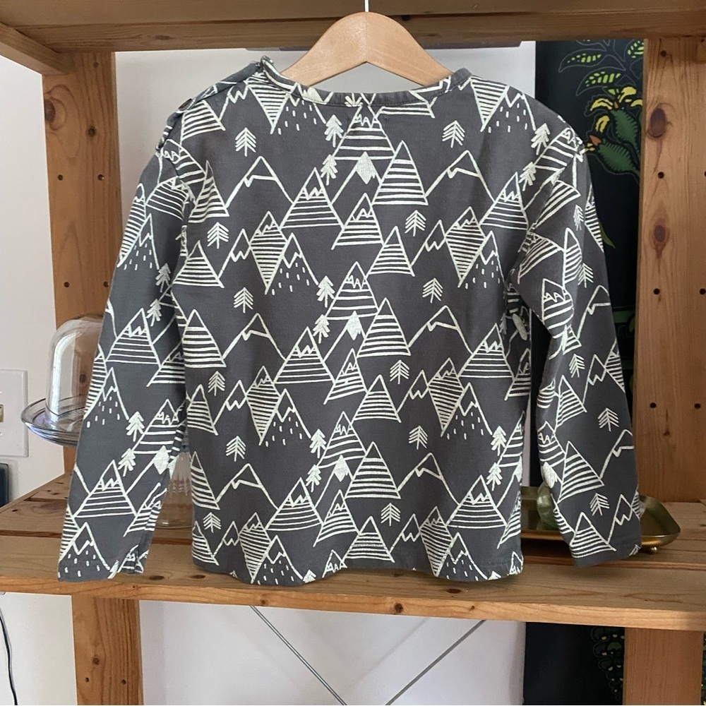 Lali Gray Winter Mountain Print Long Sleeve Shirt - Picture 3 of 13